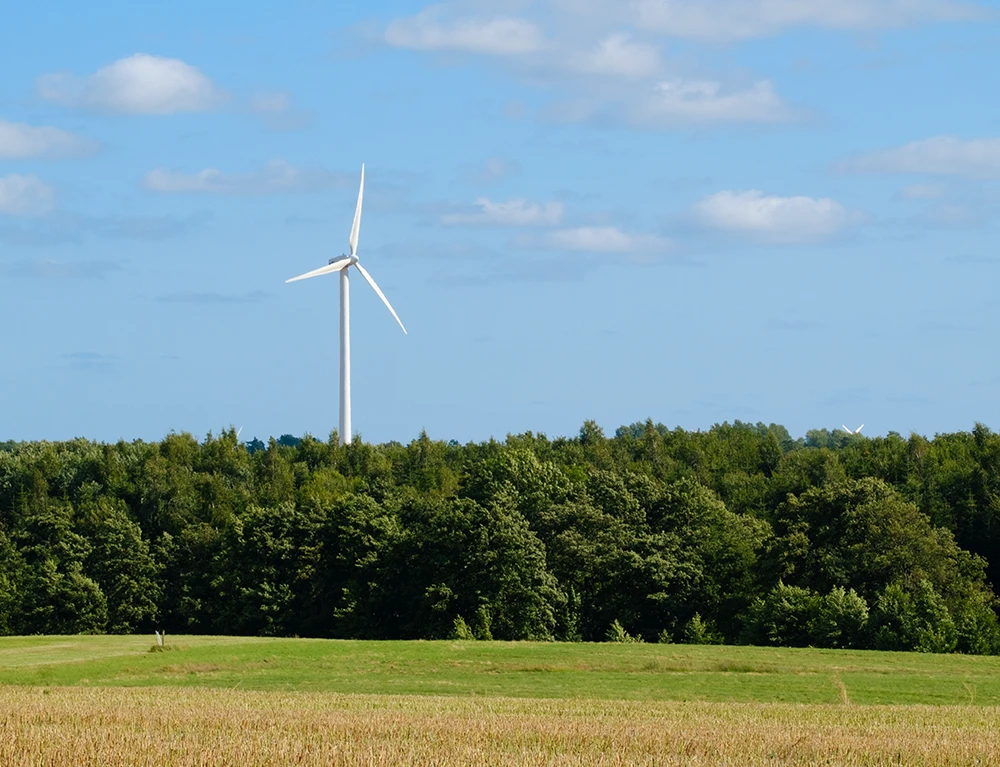Održivost kao način razmišljanja
